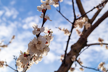 Similar image 21021651