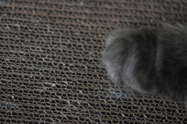 Similar image 21069076