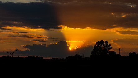 Similar image 21021653