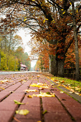 Similar image 21021657