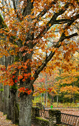 Similar image 21021658