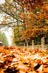 Similar image 21021659