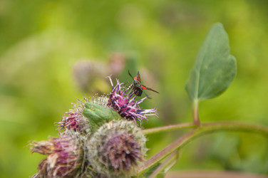 Similar image 21036404