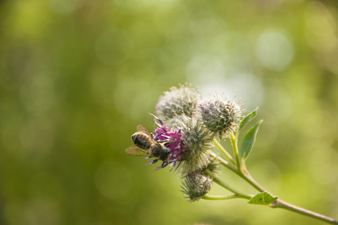 Similar image 21036405