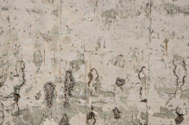 Similar image 21053823