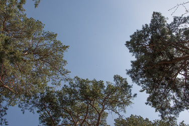 Similar image 21055714