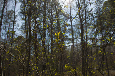 Similar image 21055715