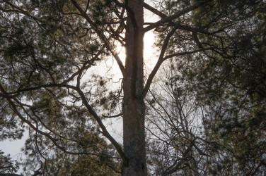 Similar image 21061580