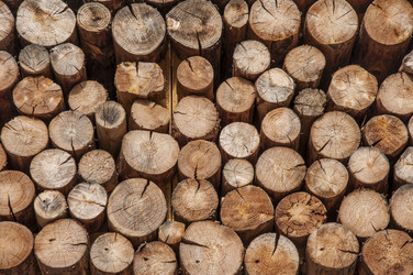 Similar image 21069091