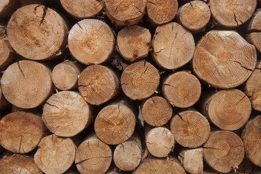 Similar image 21069092