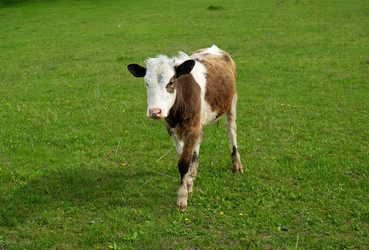 Similar image 21027156