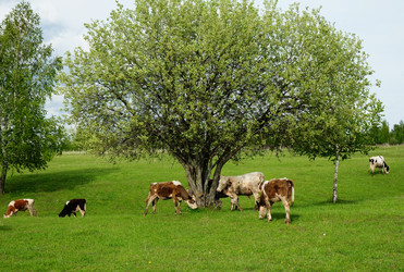 Similar image 21027157