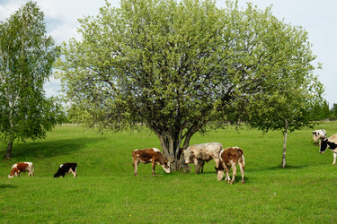 Similar image 21027158