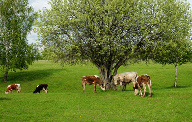 Similar image 21027215