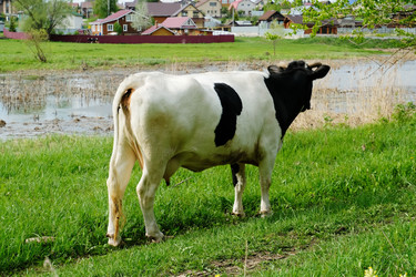 Similar image 21027218