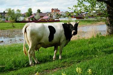 Similar image 21027219