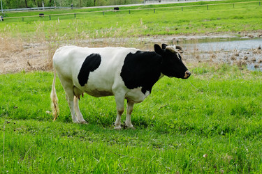 Similar image 21027220