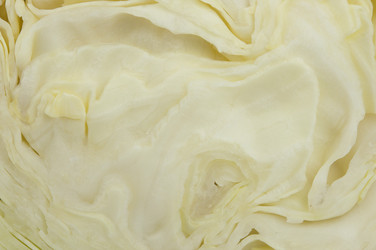 Similar image 21041994