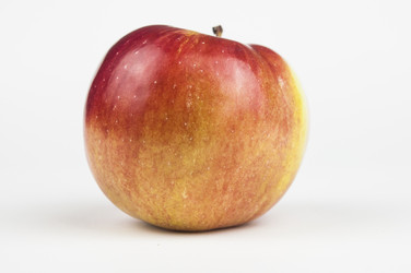 Similar image 21041995