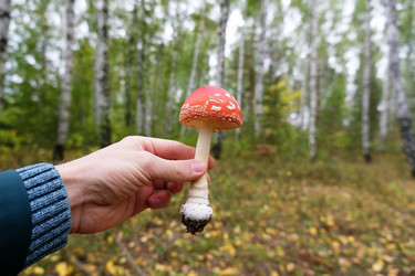 Similar image 21028902