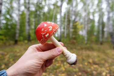 Similar image 21028903