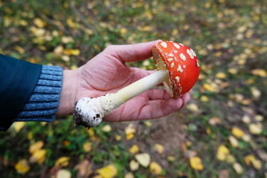 Similar image 21028904