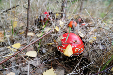 Similar image 21029512