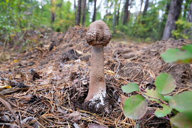 Similar image 21035193