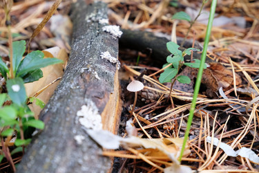 Similar image 21036223