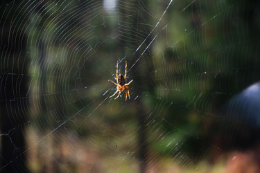 Similar image 21036226