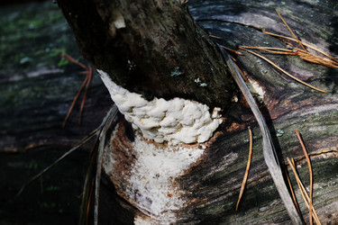 Similar image 21036231