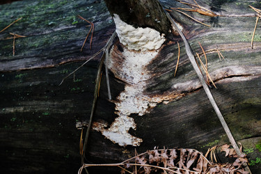 Similar image 21036232