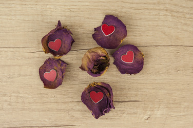 Similar image 21036233