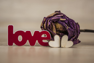 Similar image 21036411