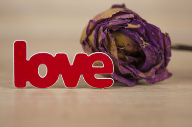 Similar image 21036412