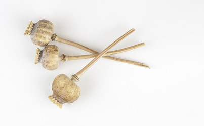 Similar image 21078042