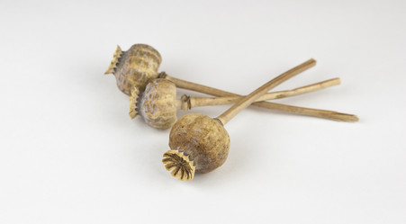 Similar image 21078084