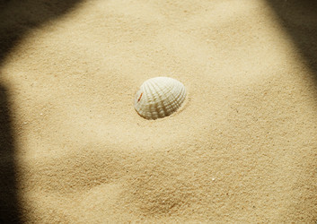 Similar image 21029514