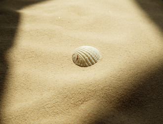 Similar image 21029516