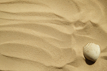 Similar image 21036089