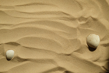 Similar image 21036090