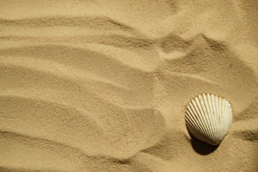 Similar image 21036091