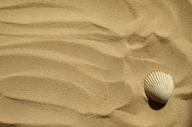 Similar image 21036235