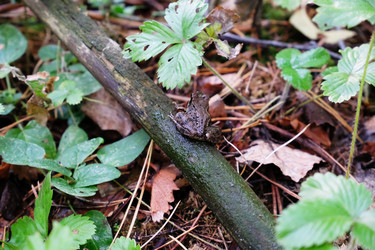 Similar image 21036244