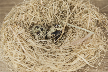 Similar image 21069111