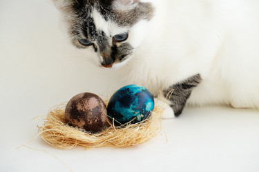 Similar image 21028914