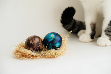 Similar image 21028915