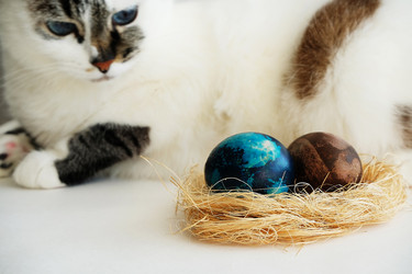 Similar image 21028916