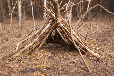 Similar image 21077030