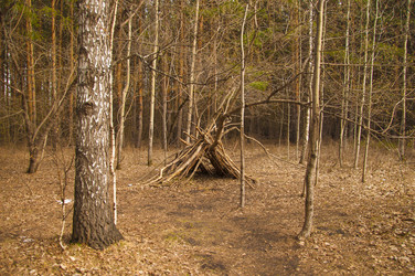 Similar image 21077031